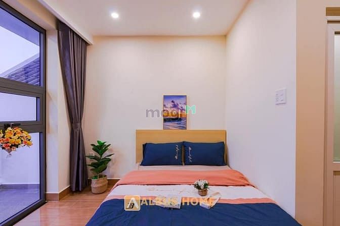 Hình ảnh Mb6623 nạp rút nhanh chóng 1 studio mini dịch vụ 3 sao, cho thuê ngắn hạn, Phan Đăng Lưu