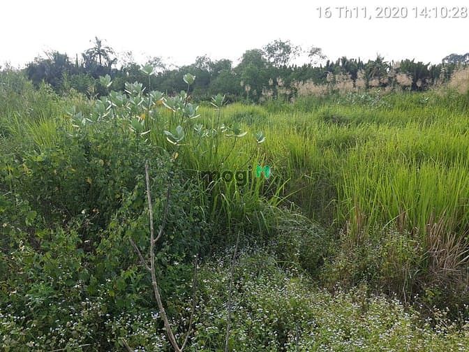 Hình ảnh Bán đất hẻm đường Long Phước P Long Phước quận 9