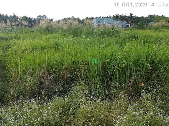 Hình ảnh Bán đất hẻm đường Long Phước P Long Phước quận 9