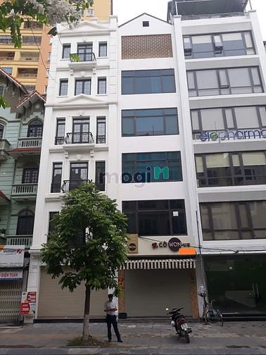 Hình ảnh Cho thuê nhà phố Huỳnh Thúc Kháng: 50m2 x 6 tầng, MT 4m, nhà mới.