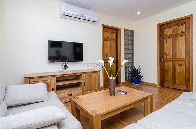 Hình ảnh Cho Thuê Căn Hộ 1PN, 2PN, Full NT, Full View, MT Trần Hưng Đạo.