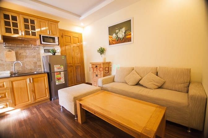 Hình ảnh Cho Thuê Căn Hộ 1PN, 2PN, Full NT, Full View, MT Trần Hưng Đạo.