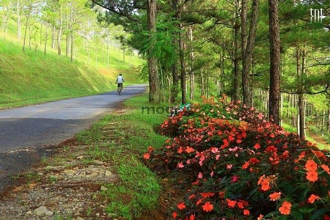 Hình ảnh Bán đất MT đường Vũ Hữu, P. An Lạc A, 4.3 x 15m, NH 5.2m, giá 5.2 tỷ k