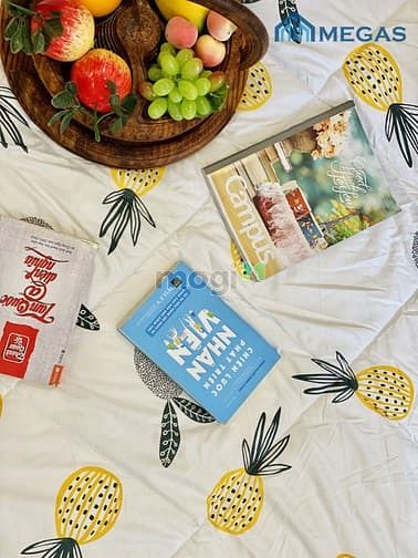 Hình ảnh Còn 1 căn duy nhất -  Full nội thất - sát bên đường Trần Não q2