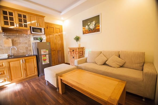Hình ảnh Cho Thuê Căn Hộ 1PN, 2PN, Full NT, Full View, MT Trần Hưng Đạo.