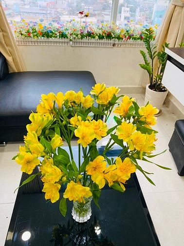 Hình ảnh Cần cho thuê Trang Chủ MB66.COM / Đăng Ký Tặng 66K Hưng Ngân, 2PN, 70m2, ở ngay, full nội thất