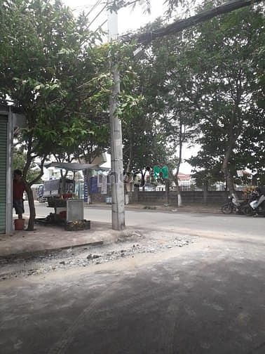 Hình ảnh Cần Tiền Nên Bán Nhanh 2 Lô Đất Đường 8 , Linh Xuân , Thủ Đức , Hẻm To