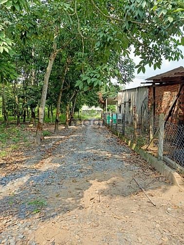 Hình ảnh Cần bán đất 1/ đường 534 - xã Nhuận Đức - Củ Chi