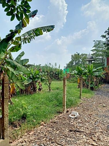 Hình ảnh Cần bán đất 1/ đường 534 - xã Nhuận Đức - Củ Chi
