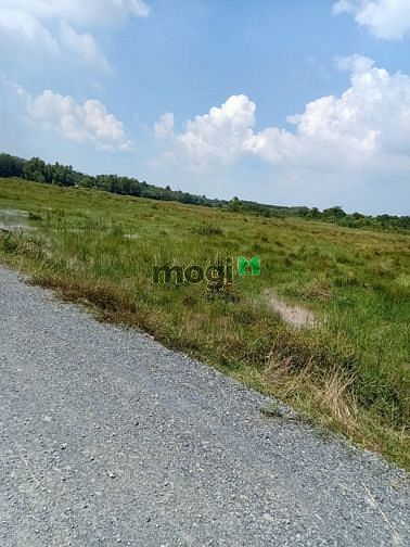 Hình ảnh Cần bán đất đường 789 - xã An Phú - Củ Chi