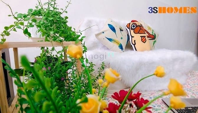 Hình ảnh Cho Thuê Căn Hộ Cao Cấp Giá Rẻ Quận Tân Bình