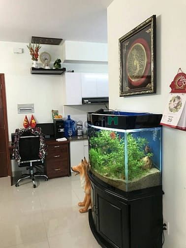 Hình ảnh Cho thuê nhà thực tế Topaz City - 2 phòng ngủ - 8.5 Triệu