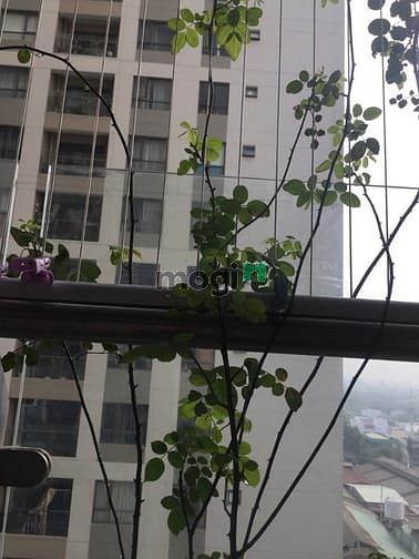 Hình ảnh ✔ Cho thuê CHCC THE GOLD VIEW 90m 2pn 2wc - Nội thất đầy đủ