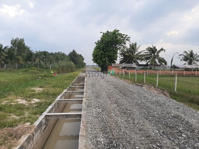 Hình ảnh Cần bán đất 1/ đường Trung Lập - xã Trung Lập Thượng - Củ Chi