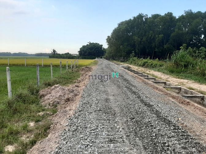 Hình ảnh Cần bán đất 1/ đường Trung Lập - xã Trung Lập Thượng - Củ Chi