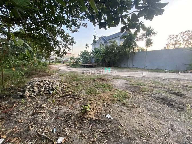 Hình ảnh 1272m2 Đất NN Phân Lô P.Bình Chiểu, Q. Thủ Đức