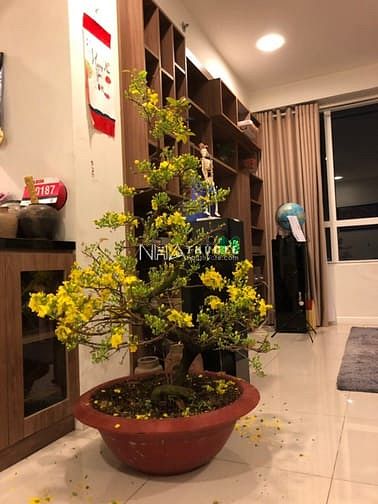 Hình ảnh ✔ Cho thuê CHCC SUNRISE CITY 108m 2pn 2wc - Nội thất đầy đủ