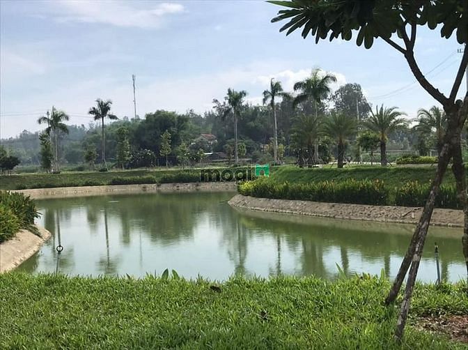 Hình ảnh Bán lô đất Tâm huyết giá vốn lấy tiền cho con đi du học