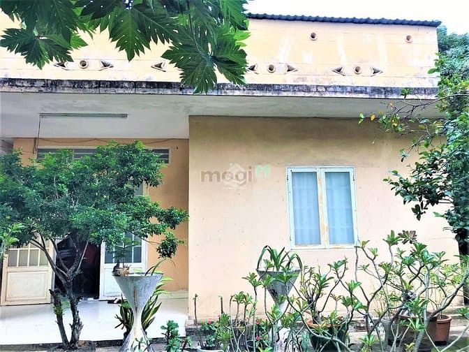 Hình ảnh Bán nhà cấp 4 đường số 15 P.Linh Chiểu. 224m2