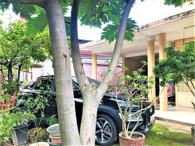 Hình ảnh Bán nhà cấp 4 đường số 15 P.Linh Chiểu. 224m2