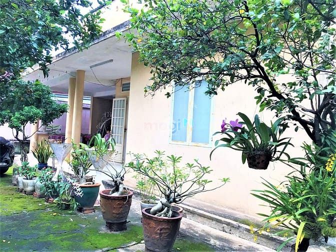 Hình ảnh Bán nhà cấp 4 đường số 15 P.Linh Chiểu. 224m2