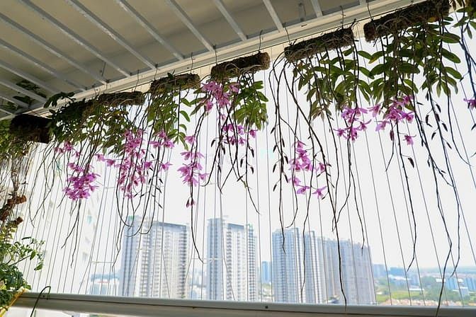 Hình ảnh ⇛ Cần bán Trang Chủ MB66.COM / Đăng Ký Tặng 66K chung cư Hoàng Anh Thanh Bình 3.4 tỷ