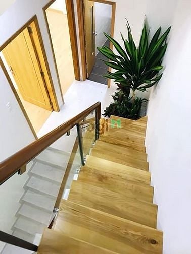 Hình ảnh Cho thuê nhà dạng biệt thự mini 3 tấm