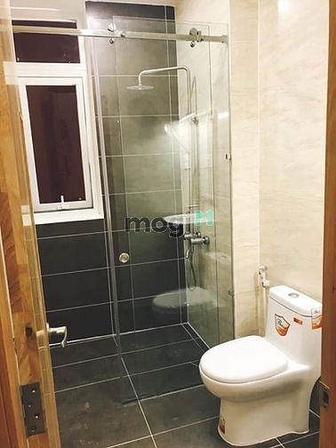 Hình ảnh Cho thuê nhà dạng biệt thự mini 3 tấm