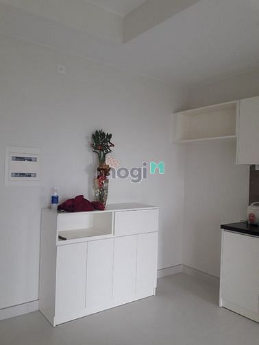 Hình ảnh Cho thuê C/h Diamond Lotus, Q8, 58m2, 2pn, nhà trống, 8tr