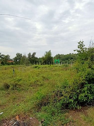 Hình ảnh Cần bán đất đường Nguyễn Thị Rõ - xã Tân An Hội - Củ Chi