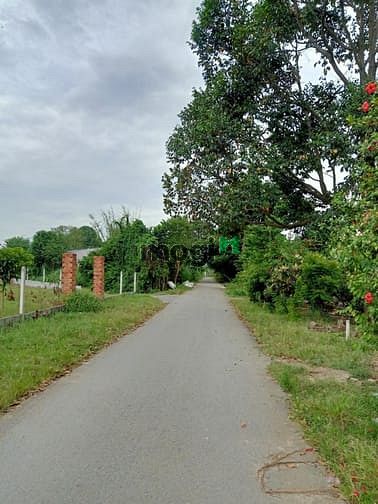 Hình ảnh Cần bán đất đường Nguyễn Thị Rõ - xã Tân An Hội - Củ Chi