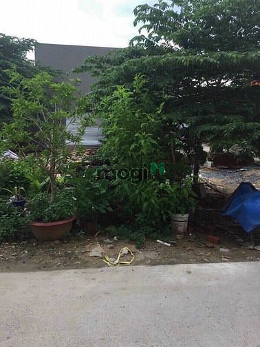 Hình ảnh Bán Lô Đất Hẻm 141 Đường 339 Phước Long B, DT 148m2 Ngang 7,7m