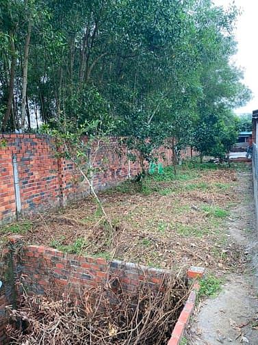 Hình ảnh Cần bán đất đường 493 - xã Phạm Văn Cội - Củ Chi