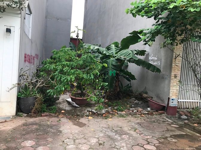 Hình ảnh Thầy giáo gửi bán lô đất 76,5m2 tuyệt đẹp ở TĐC Tư Đình, Long Biên