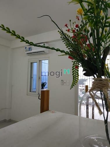 Hình ảnh CĂN HỘ cho thuê ban công riêng từng phòng_rộng rãi thoáng mát_tân bình