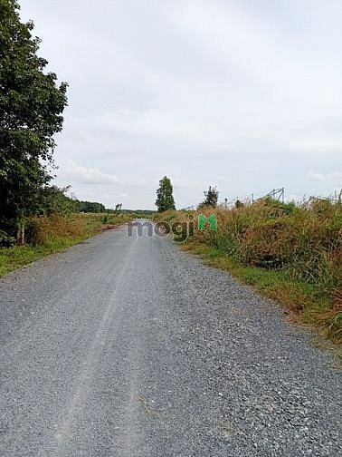 Hình ảnh Cần bán đất đường 493 - xã Phạm Văn Cội - Củ Chi