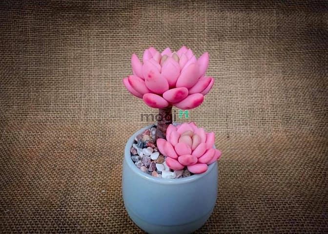 Hình ảnh Bán gấp lô đất thổ sổ hồng riêng ngay cạnh khu công nghiệp