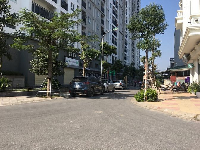 Hình ảnh Cần bán 79m đất đấu giá Phúc Lợi, cạnh Ecohome Phúc Lợi, Long Biên