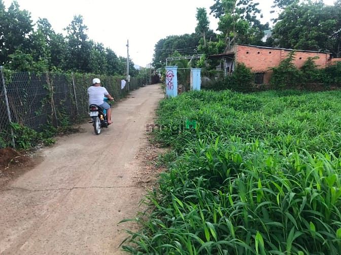 Hình ảnh Đất Dầu giây ngay chợ , sổ riêng thổ cư  .