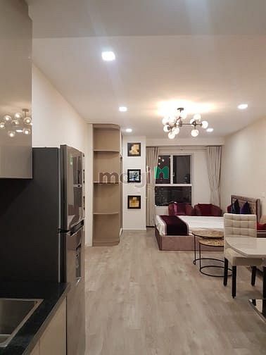 Hình ảnh Cho thuê CH + Studio *Sunrise City View Giá Tốt