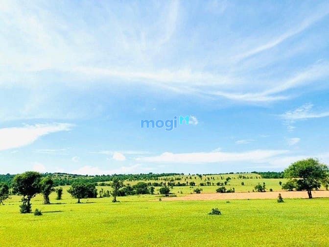 Hình ảnh Bán đất vườn sổ đỏ gần biển Bình Thuận, nhiều vị trí đắc địa