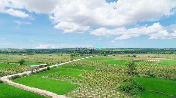 Hình ảnh Bán đất vườn sổ đỏ gần biển Bình Thuận, nhiều vị trí đắc địa