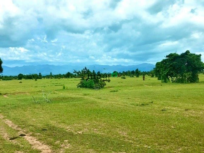 Hình ảnh Bán đất vườn sổ đỏ gần biển Bình Thuận, nhiều vị trí đắc địa