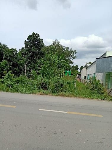 Hình ảnh Cần bán đất đường Bùi Thị Điệt - xã Phạm Văn Cội - Củ Chi