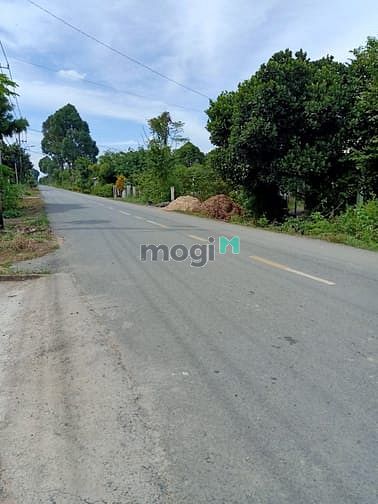 Hình ảnh Cần bán đất đường Bùi Thị Điệt - xã Phạm Văn Cội - Củ Chi