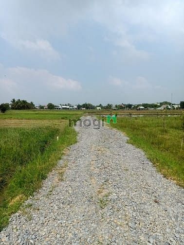 Hình ảnh Cần bán đất vườn xã Trung Lập Hạ - Củ Chi