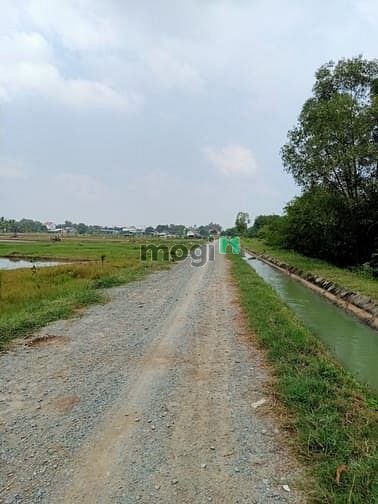 Hình ảnh Cần bán đất vườn xã Trung Lập Hạ - Củ Chi