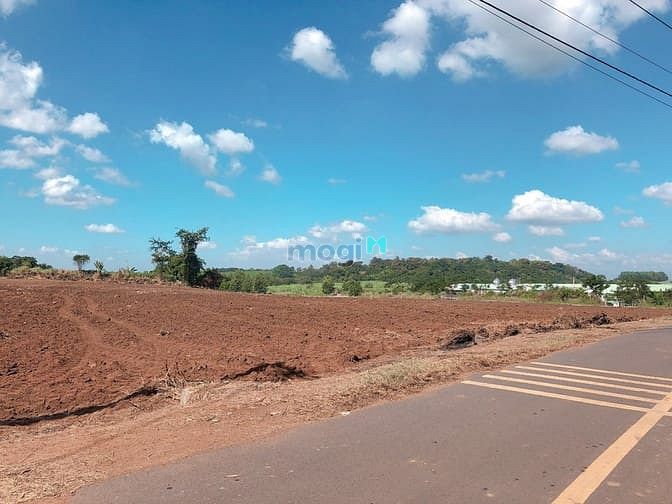 Hình ảnh Bán đất sào xã hưng thịnh trảng bom đồng nai