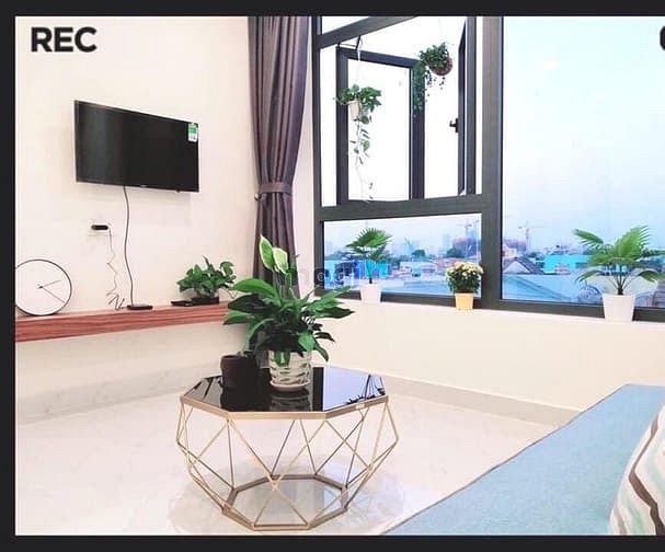 Hình ảnh Cho Thuê Căn Hộ Mini 1 PN Quận 7