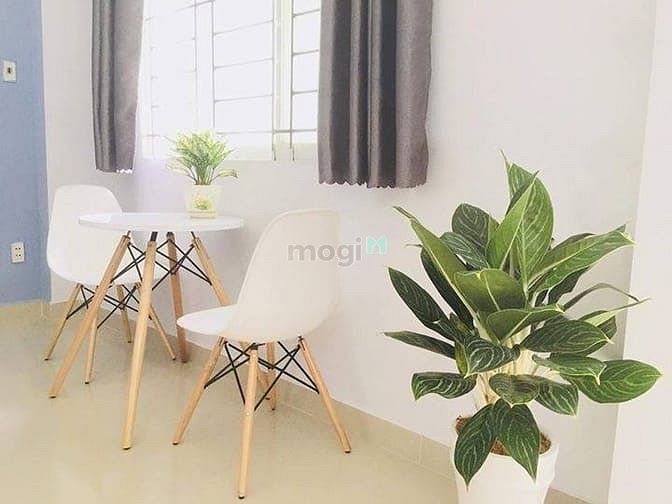 Hình ảnh 🌿 Căn Hộ Cao Cấp Thiết Kế Bắt Mắt Ngay Ký Con Phú Nhuận 🌿